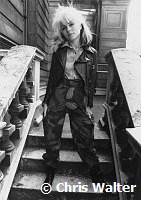 Blondie 1977 Debbie Harry<br> Chris Walter<br>