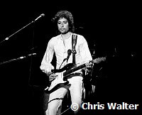 Bob Dylan 1978<br> Chris Walter<br>