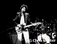 Bob Dylan<br> Chris Walter<br>