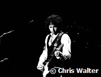 Bob Dylan 1978<br> Chris Walter