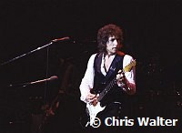 Bob Dylan 1978<br> Chris Walter