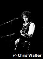 Bob Dylan 1978<br> Chris Walter<br><br>