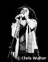 Bob Marley 1978<br> Chris Walter<br>