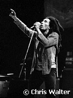 Bob Marley 1978<br> Chris Walter<br>