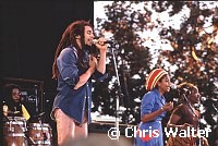 Bob Marley 1979 Santa Barbara<br> Chris Walter<br>
