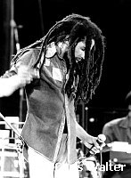 Bob Marley 1979<br> Chris Walter<br>Photofeatures International