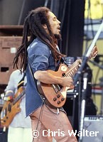 Bob Marley 1979 Santa Barbara<br> Chris Walter<br>
