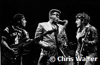Bruce Springsteen, Clarence Clemons & Nils Lofgren<br> Chris Walter<br>Photofeatures International