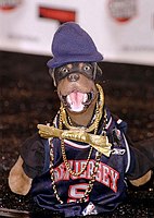 Photo of Triumph the Insult Comic Dog at Comedy Central's First Annual Commie Awards 11-22-2003 in Culver City.
