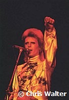 David Bowie as Ziggy Stardust  1973<br>