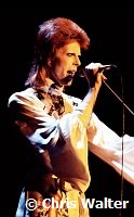 David Bowie as Ziggy Stardust  1973<br>