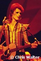 DAVID BOWIE 1973 Ziggy Stardust <br> Chris Walter<br>