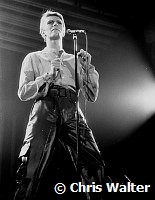 David Bowie 1978 Earls Court<br> Chris Walter<br>