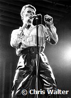 David Bowie 1978 Earls Court<br><br> Chris Walter<br><br>