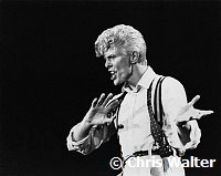 David Bowie 1983<br> Chris Walter<br>