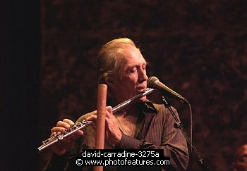 Photo of David Carradine by Chris Walter , reference; david-carradine-3275a,www.photofeatures.com