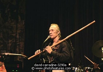 Photo of David Carradine by Chris Walter , reference; david-carradine-3290a,www.photofeatures.com