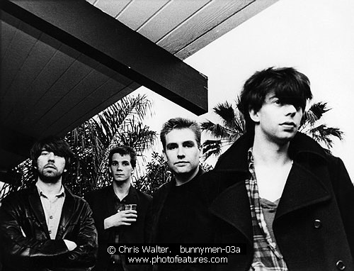 Photo of Echo & The Bunnymen Photo of Echo & The Bunnymen by Chris Walter , reference; bunnymen-03a,www.photofeatures.com