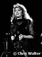 Stevie Nicks 1983 at US Festival<br> Chris Walter