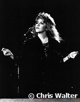 Stevie Nicks 1983 at US Festival