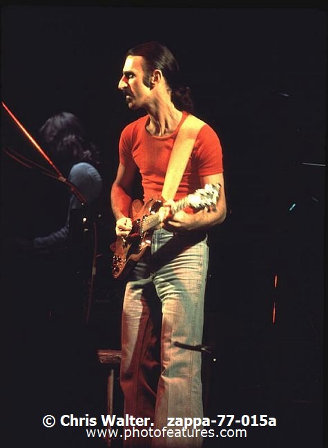Photo of Frank Zappa for media use , reference; zappa-77-015a,www.photofeatures.com