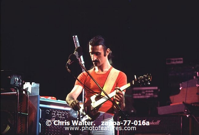 Photo of Frank Zappa for media use , reference; zappa-77-016a,www.photofeatures.com