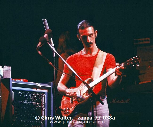 Photo of Frank Zappa for media use , reference; zappa-77-038a,www.photofeatures.com