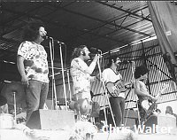 Frank Zappa 1970 & Mothers Of Invention with Mark Volman and Howard Kaylan (Flo & Eddie) at 1970 Bath Festival.<br>