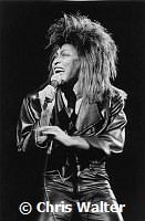 Tina Turner 1984 