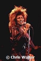 Tina Turner 1984