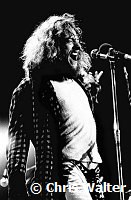 Jethro Tull 1970 Ian Anderson at Isle Of Wight Festival<br> Chris Walter<br>