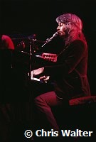Leon Russell 1971 at the Rainbow Theatre in London<br> Chris Walter