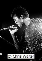 Michael Jackson 1981 The Jacksons<br> Chris Walter<br>