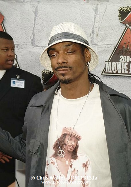 Photo of 2004 MTV Movie Awards for media use , reference; DSCF3131a,www.photofeatures.com