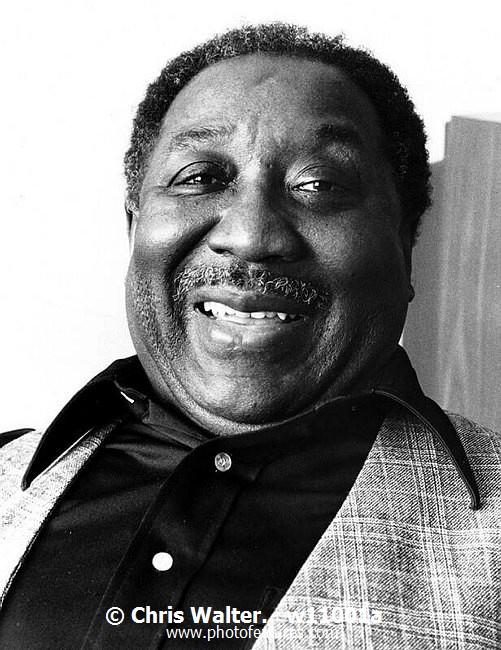 Photo of Muddy Waters for media use , reference; w11001a,www.photofeatures.com