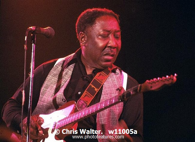Photo of Muddy Waters for media use , reference; w11005a,www.photofeatures.com