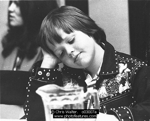 Photo of Osmonds by Chris Walter , reference; o03007a,www.photofeatures.com