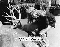 Photo of Ozzy Osbourne 1981, Day On The Green in Oakland, July 4th.<br> Chris Walter<br>