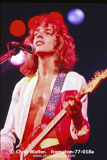 Photo of Peter Frampton for media use , reference; frampton-77-018a,www.photofeatures.com