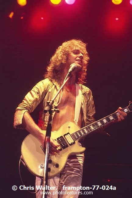 Photo of Peter Frampton for media use , reference; frampton-77-024a,www.photofeatures.com