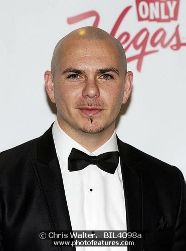 Photo of Pitbull for media use , reference; BIL4098a,www.photofeatures.com