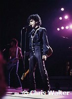 Prince 1983