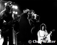 Queen 1974 John Deacon, Freddie Mercury and Brian May<br> Chris Walter<br>