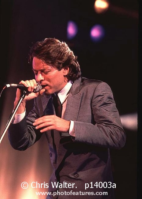 Photo of Robert Palmer for media use , reference; p14003a,www.photofeatures.com