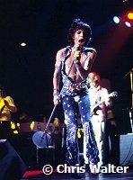 Rolling Stones 1973  Mick Jagger<br> Chris Walter<br>