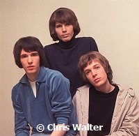 Walker Brothers 1966