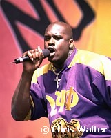 Shaquille O'Neal<br>