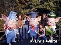 Smokie 1975 at Disneyland<br> Chris Walter