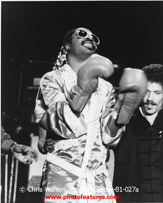 Photo of Stevie Wonder for media use , reference; stevie-wonder-81-027a,www.photofeatures.com