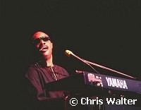 Stevie Wonder 2000<br> Chris Walter